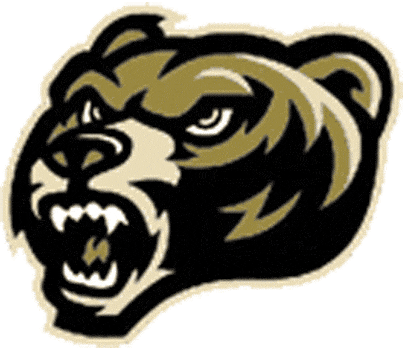 Oakland Golden Grizzlies 2002-2008 Alternate Logo iron on transfers for T-shirts